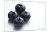 Blueberries-Jon Stokes-Mounted Photographic Print