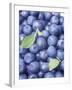 Blueberries-Vladimir Shulevsky-Framed Photographic Print