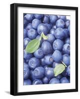 Blueberries-Vladimir Shulevsky-Framed Photographic Print