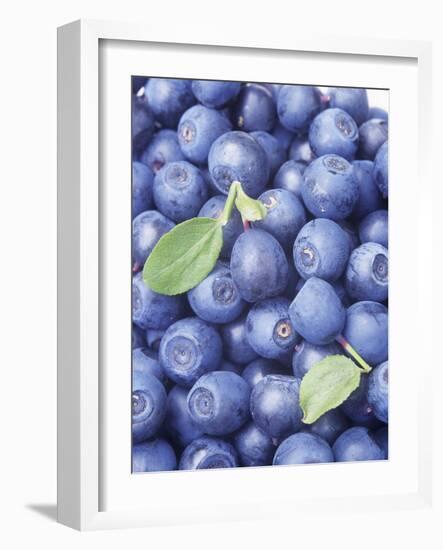 Blueberries-Vladimir Shulevsky-Framed Photographic Print