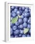 Blueberries-Vladimir Shulevsky-Framed Photographic Print