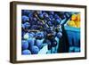 Blueberries-null-Framed Photo