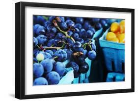 Blueberries-null-Framed Photo