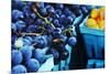 Blueberries-null-Mounted Photo