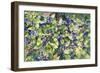 Blueberries-Kathleen Parr McKenna-Framed Premium Giclee Print