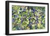 Blueberries-Kathleen Parr McKenna-Framed Premium Giclee Print