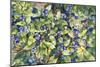 Blueberries-Kathleen Parr McKenna-Mounted Premium Giclee Print