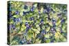 Blueberries-Kathleen Parr McKenna-Stretched Canvas