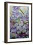 Blueberries-Angeles M Pomata-Framed Giclee Print