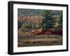 Blueberry Bushes and Marsh, Acadia National Park, Maine, USA-Joanne Wells-Framed Photographic Print