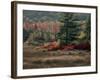 Blueberry Bushes and Marsh, Acadia National Park, Maine, USA-Joanne Wells-Framed Photographic Print