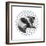 Blueberry Dreams-null-Framed Giclee Print