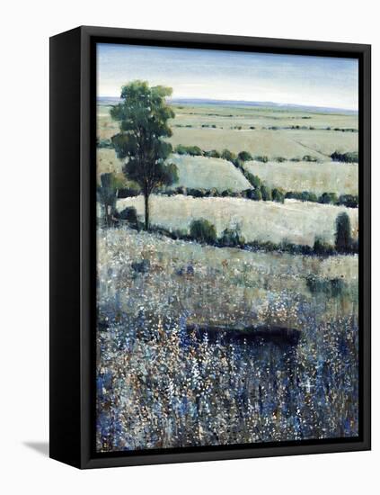 Blueberry Hills-O'Toole O'Toole-Framed Stretched Canvas