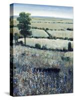 Blueberry Hills-O'Toole O'Toole-Stretched Canvas