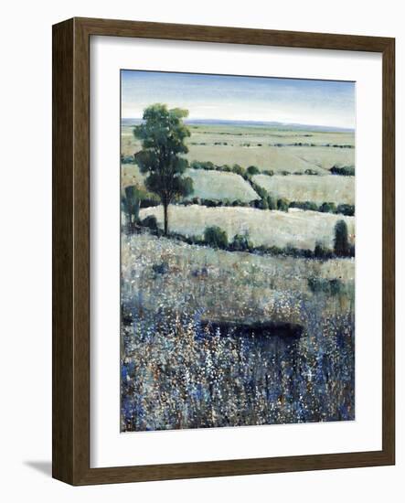 Blueberry Hills-O'Toole O'Toole-Framed Premium Giclee Print