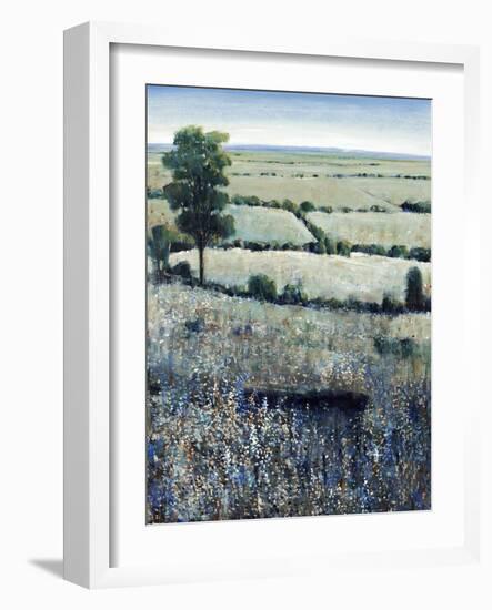 Blueberry Hills-O'Toole O'Toole-Framed Premium Giclee Print