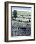 Blueberry Hills-O'Toole O'Toole-Framed Giclee Print