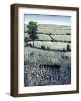 Blueberry Hills-O'Toole O'Toole-Framed Giclee Print