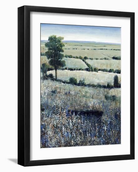 Blueberry Hills-O'Toole O'Toole-Framed Giclee Print