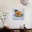 Blueberry Pancakes with Maple Syrup-Tara Fisher-Photographic Print displayed on a wall