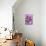 Blueberry Pops-Clive Streeter-Stretched Canvas displayed on a wall