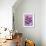 Blueberry Pops-Clive Streeter-Framed Photographic Print displayed on a wall