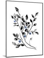 Blueberry Sprig-null-Mounted Giclee Print