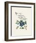 Blueberry-G^ Phillips-Framed Art Print