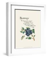 Blueberry-G^ Phillips-Framed Art Print
