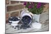 Blueberrys in Enamel Milk Can-Andrea Haase-Mounted Photographic Print