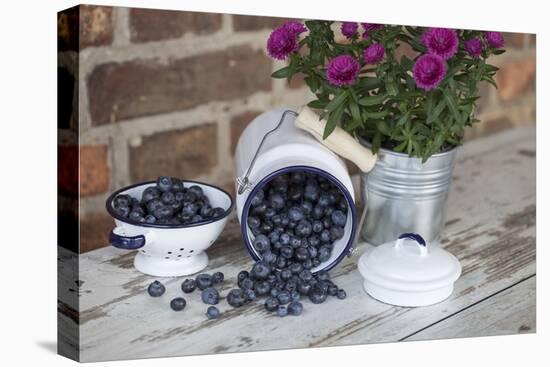 Blueberrys in Enamel Milk Can-Andrea Haase-Stretched Canvas