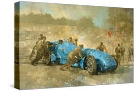 Bluebird, 1928-Peter Miller-Stretched Canvas