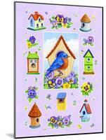 Bluebird and Pansies-Geraldine Aikman-Mounted Giclee Print