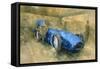 Bluebird at Brooklands-Peter Miller-Framed Stretched Canvas