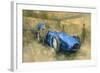 Bluebird at Brooklands-Peter Miller-Framed Giclee Print