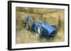 Bluebird at Brooklands-Peter Miller-Framed Giclee Print