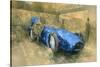 Bluebird at Brooklands-Peter Miller-Stretched Canvas