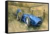 Bluebird at Brooklands-Peter Miller-Framed Stretched Canvas