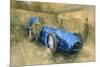 Bluebird at Brooklands-Peter Miller-Mounted Giclee Print