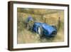 Bluebird at Brooklands-Peter Miller-Framed Giclee Print