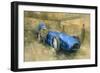 Bluebird at Brooklands-Peter Miller-Framed Giclee Print