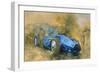 Bluebird at Brooklands-Peter Miller-Framed Giclee Print