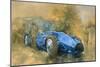 Bluebird at Brooklands-Peter Miller-Mounted Giclee Print