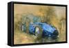 Bluebird at Brooklands-Peter Miller-Framed Stretched Canvas