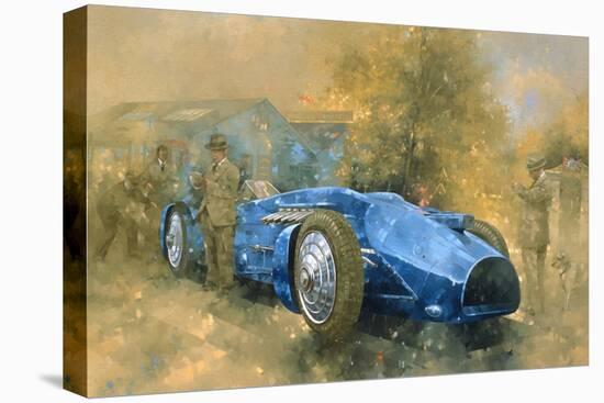 Bluebird at Brooklands-Peter Miller-Stretched Canvas