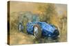 Bluebird at Brooklands-Peter Miller-Stretched Canvas