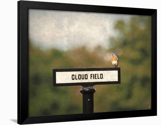 Bluebird at Cloud Field-Jai Johnson-Framed Giclee Print