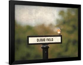 Bluebird at Cloud Field-Jai Johnson-Framed Giclee Print