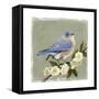 Bluebird Branch I-Victoria Borges-Framed Stretched Canvas