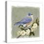 Bluebird Branch I-Victoria Borges-Stretched Canvas